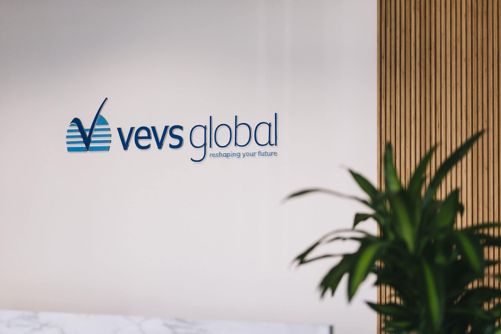 vevs global